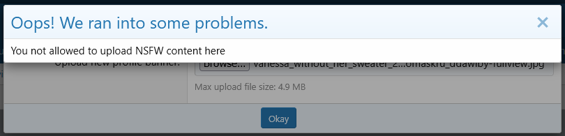 [aprodam.ru] [OzzModz] Adult Content Filter