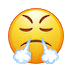 :face-with-steam-from-nose: